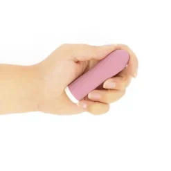 Bullie vibrator