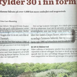 Forstørrelsesstav 5 cm- 2x forstørrelse