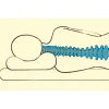 SoftSleep anatomisk hovedpude
